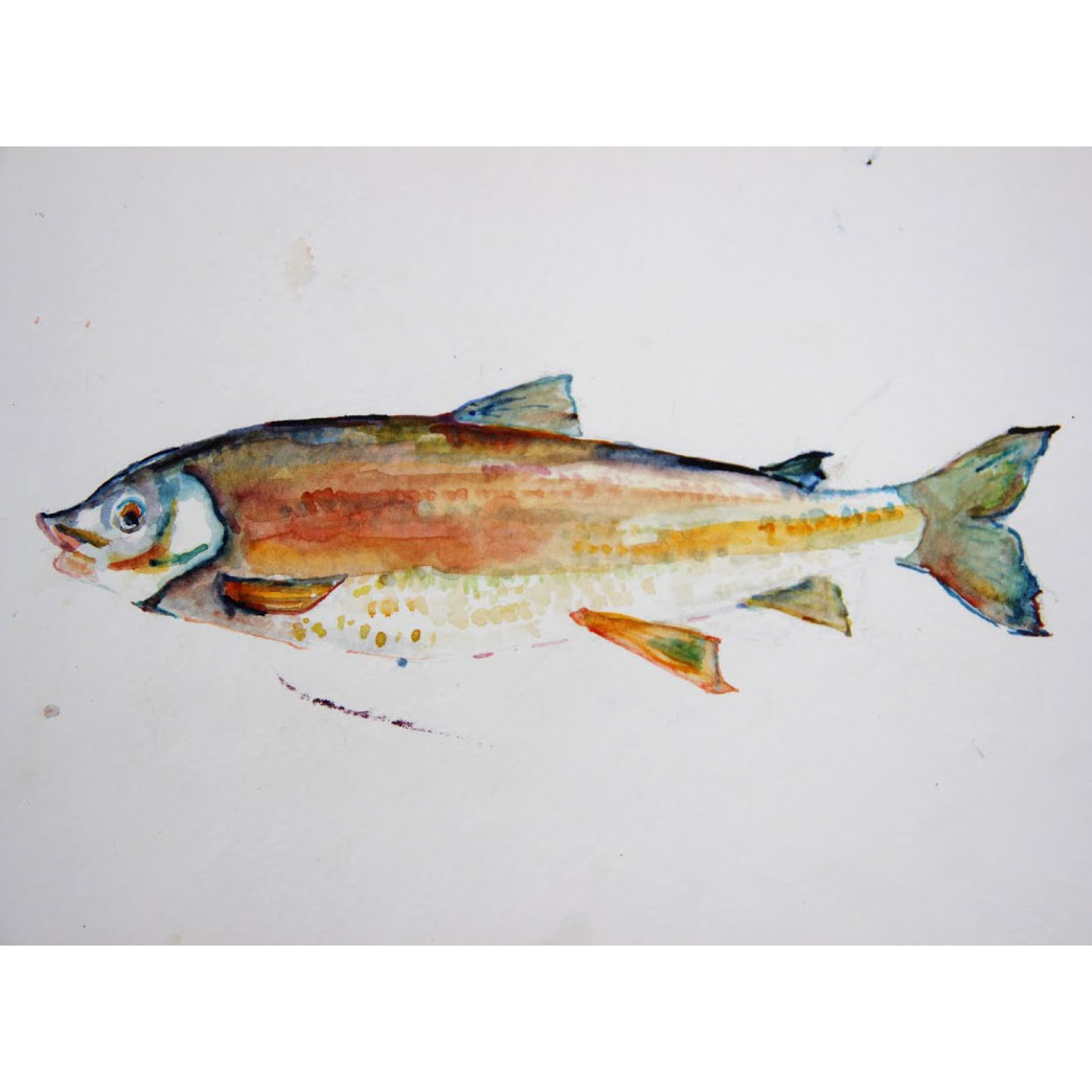 Canoes and Cold Hands