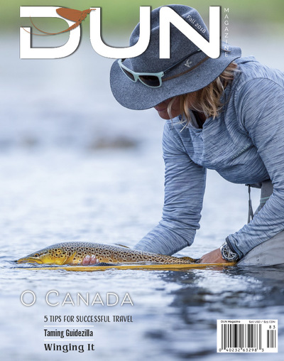 Square 1543668630 dun fall 2018 cover